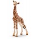 Giraffa il Cucciolo - Schleich WILD LIFE 14751